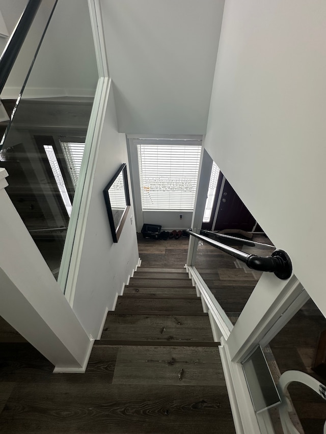 staircase featuring hardwood / wood-style flooring