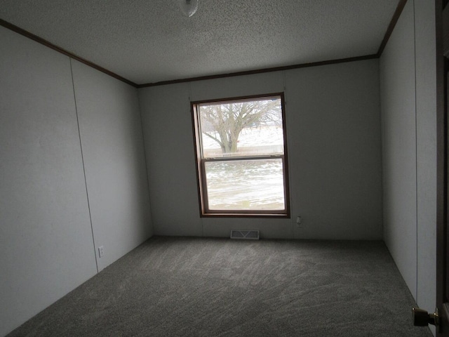 spare room featuring a textured ceiling, carpet, crown molding, and a healthy amount of sunlight