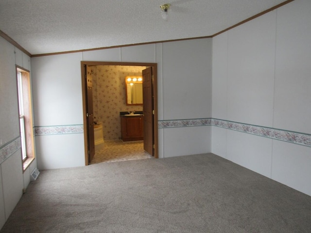 carpeted spare room with sink, a textured ceiling, and crown molding