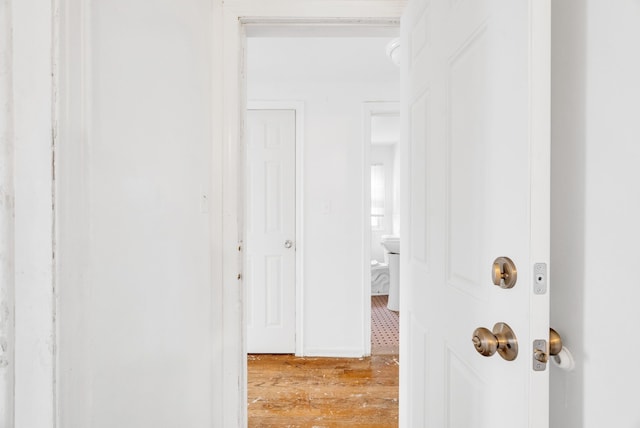 corridor with light hardwood / wood-style flooring