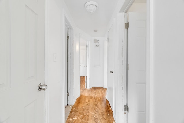 corridor with light hardwood / wood-style flooring