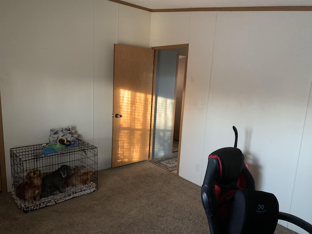 miscellaneous room with carpet and crown molding