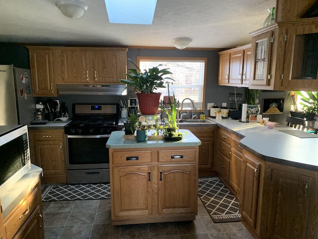 kitchen featuring a skylight, appliances with stainless steel finishes, sink, and a textured ceiling