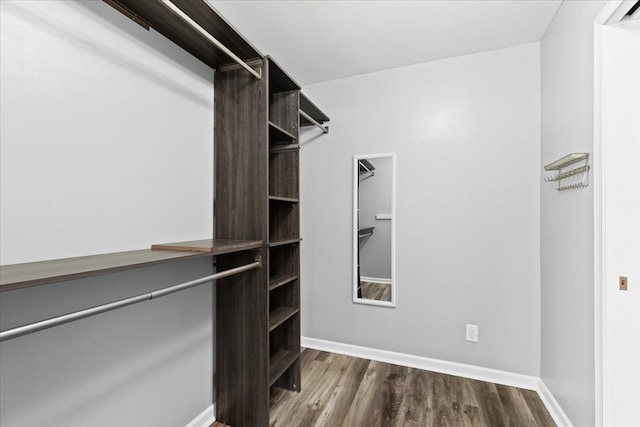 walk in closet with dark wood-type flooring