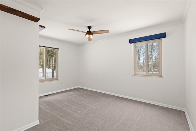 carpeted spare room with ceiling fan, plenty of natural light, and crown molding