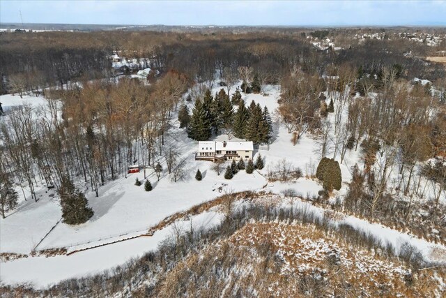 view of snowy aerial view