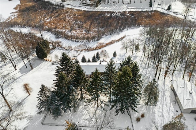 view of snowy aerial view