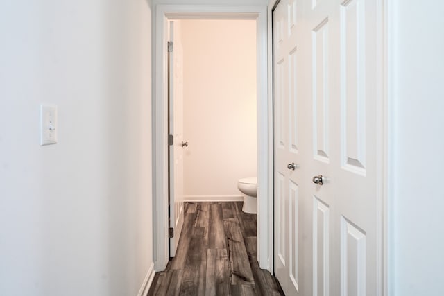 hallway with dark wood-type flooring