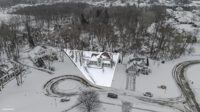 view of snowy aerial view