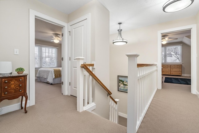 hall featuring light colored carpet and a healthy amount of sunlight