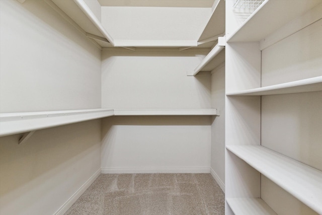 spacious closet featuring light carpet