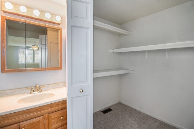 bathroom with vanity