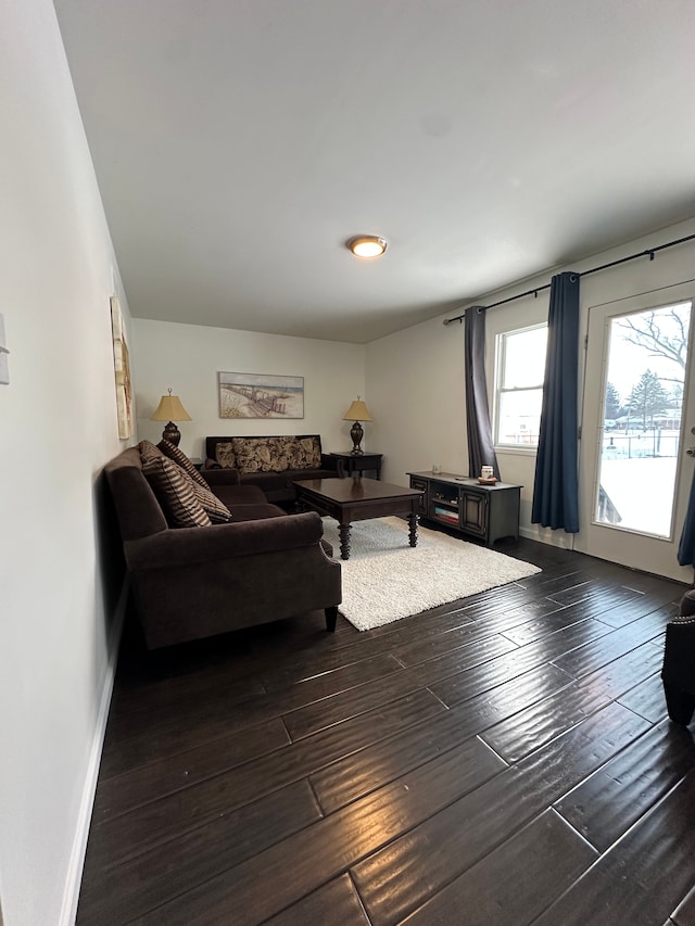 living room featuring dark wood-type flooring