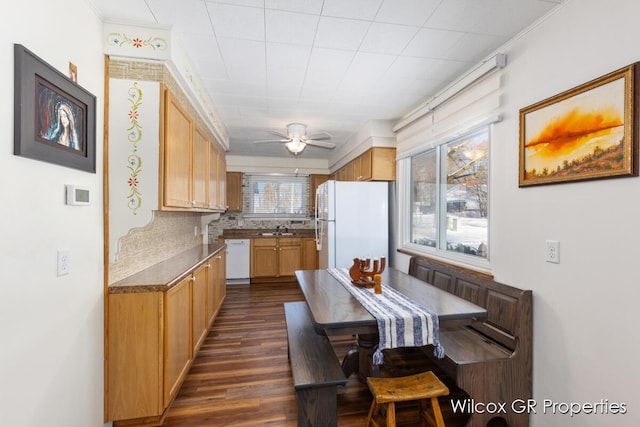 kitchen featuring ceiling fan, sink, backsplash, white appliances, and dark hardwood / wood-style floors