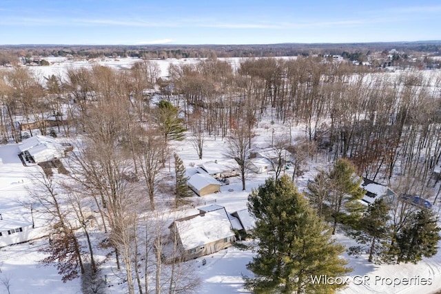 view of snowy aerial view