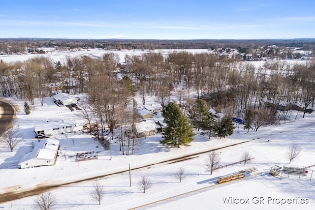 view of snowy aerial view