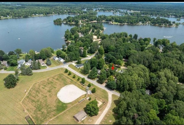 7519 9th St Unit 311, Canadian Lakes, MI 49346 - aerial view of property's location featuring a large body of water and a heavily wooded area