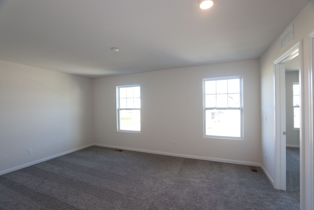 carpeted empty room with a healthy amount of sunlight