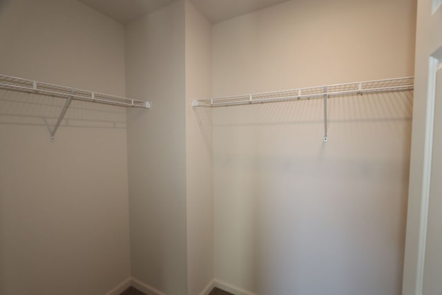 spacious closet featuring carpet floors