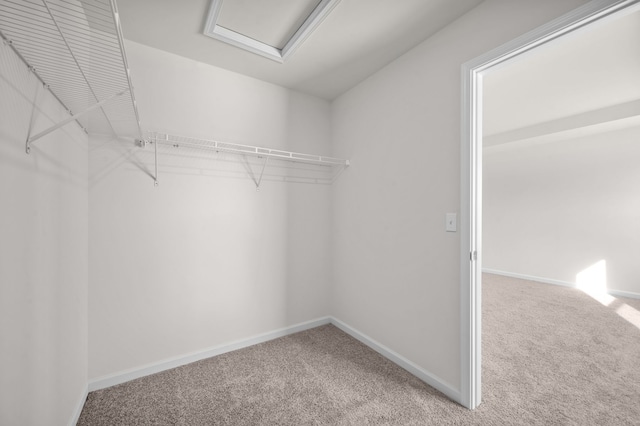 walk in closet with carpet