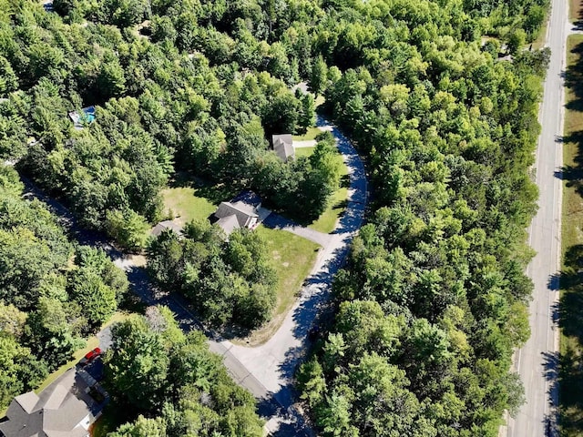 Listing photo 3 for 2060 Driftwood Ln, Kalkaska MI 49646