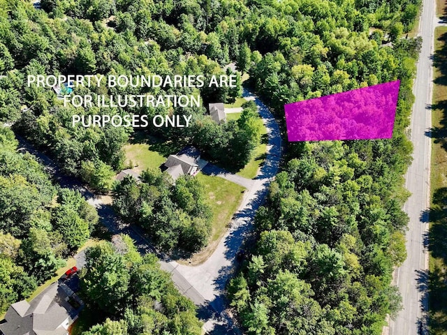 2060 Driftwood Ln, Kalkaska MI, 49646 land for sale