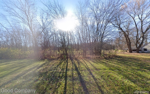 2 Van Born, Romulus, MI 48174 - photo 3