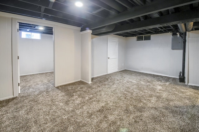 basement featuring carpet