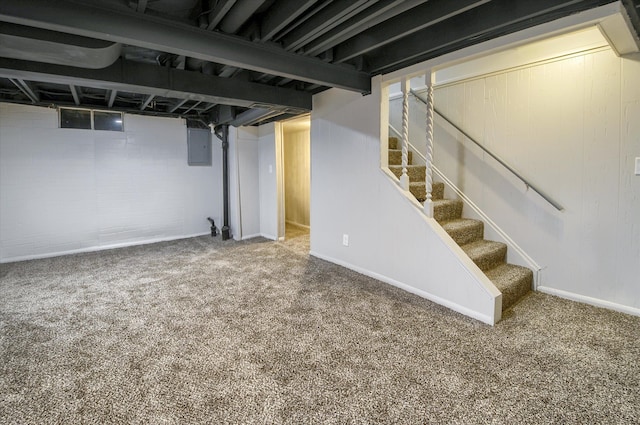 basement featuring carpet and electric panel