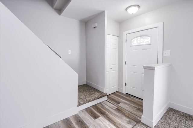 entryway featuring wood-type flooring