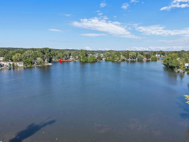 property view of water