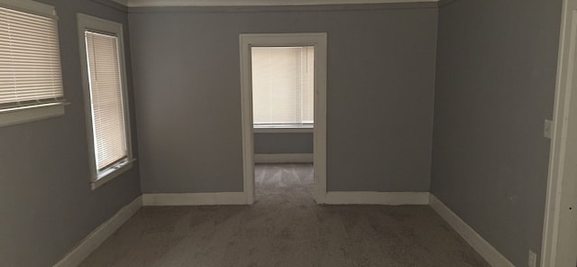 carpeted spare room featuring crown molding