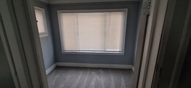 carpeted empty room featuring a wealth of natural light