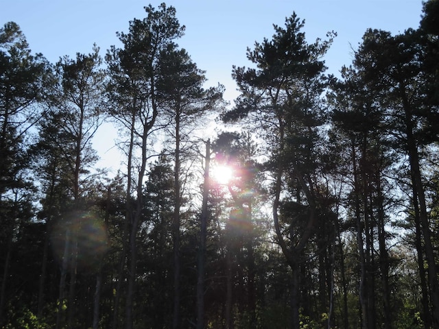 view of nature at dusk