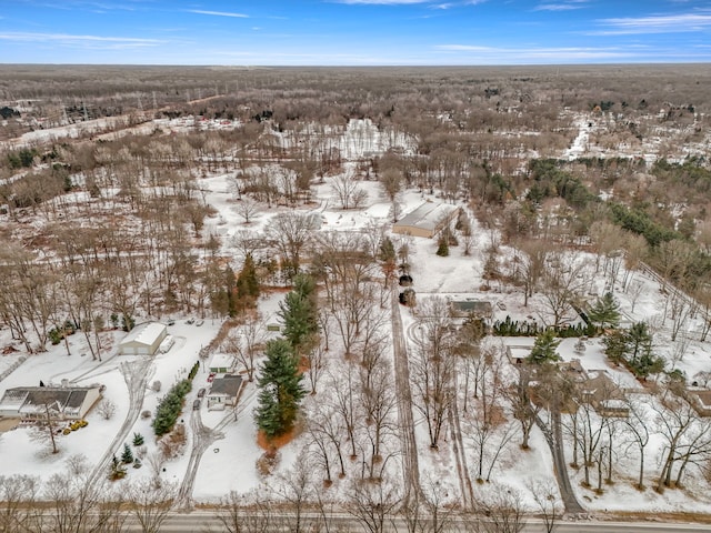 42891 Bemis Rd, Sumpter, MI 48111 - view of snowy aerial view