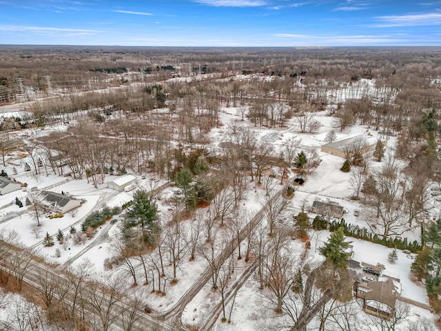 42891 Bemis Rd, Sumpter, MI 48111 - view of snowy aerial view