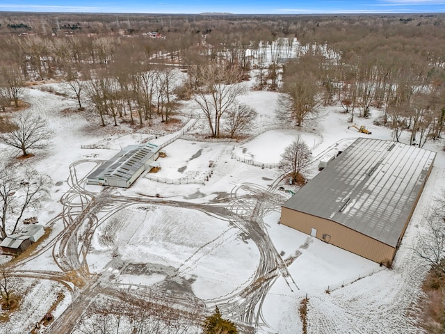 42891 Bemis Rd, Sumpter, MI 48111 - view of snowy aerial view