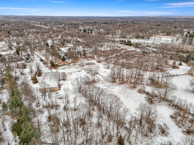 42891 Bemis Rd, Sumpter, MI 48111 - view of snowy aerial view
