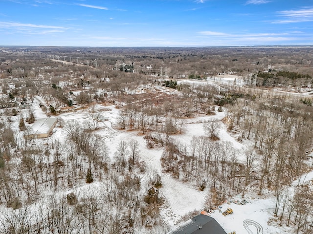 42891 Bemis Rd, Sumpter, MI 48111 - view of snowy aerial view