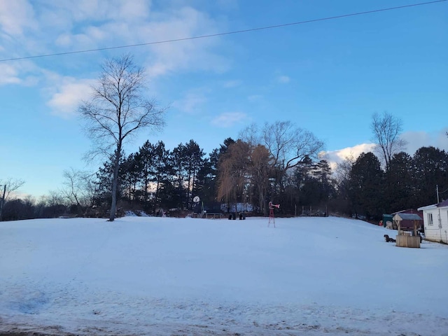 view of yard covered in snow