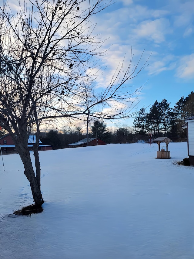 view of yard covered in snow