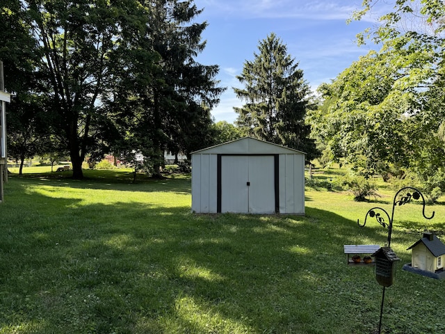 view of yard with a storage shed