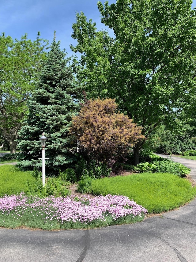 16076 Highland Dr, Spring Lake, MI 49456 - photo 112