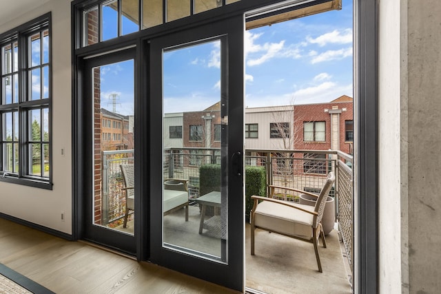 entryway with plenty of natural light and wood-type flooring