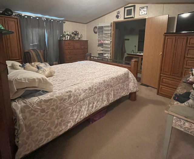 bedroom featuring vaulted ceiling