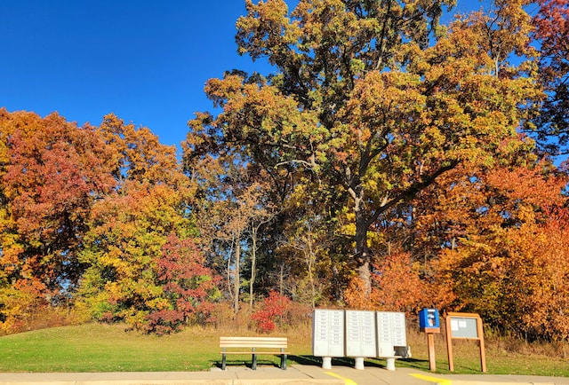 view of community featuring mail boxes