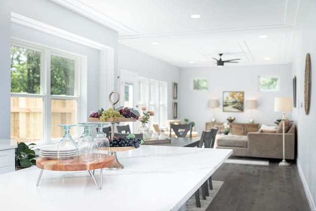 kitchen with ceiling fan, a healthy amount of sunlight, and dark hardwood / wood-style floors