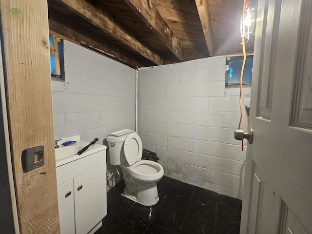 bathroom with toilet and vanity