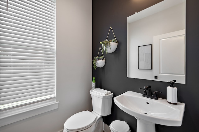 bathroom featuring sink and toilet