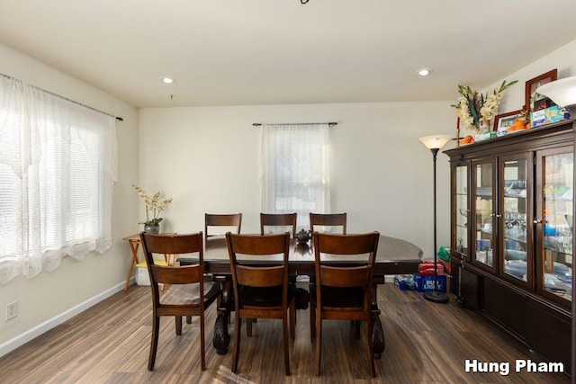 dining space with a wealth of natural light and dark hardwood / wood-style flooring